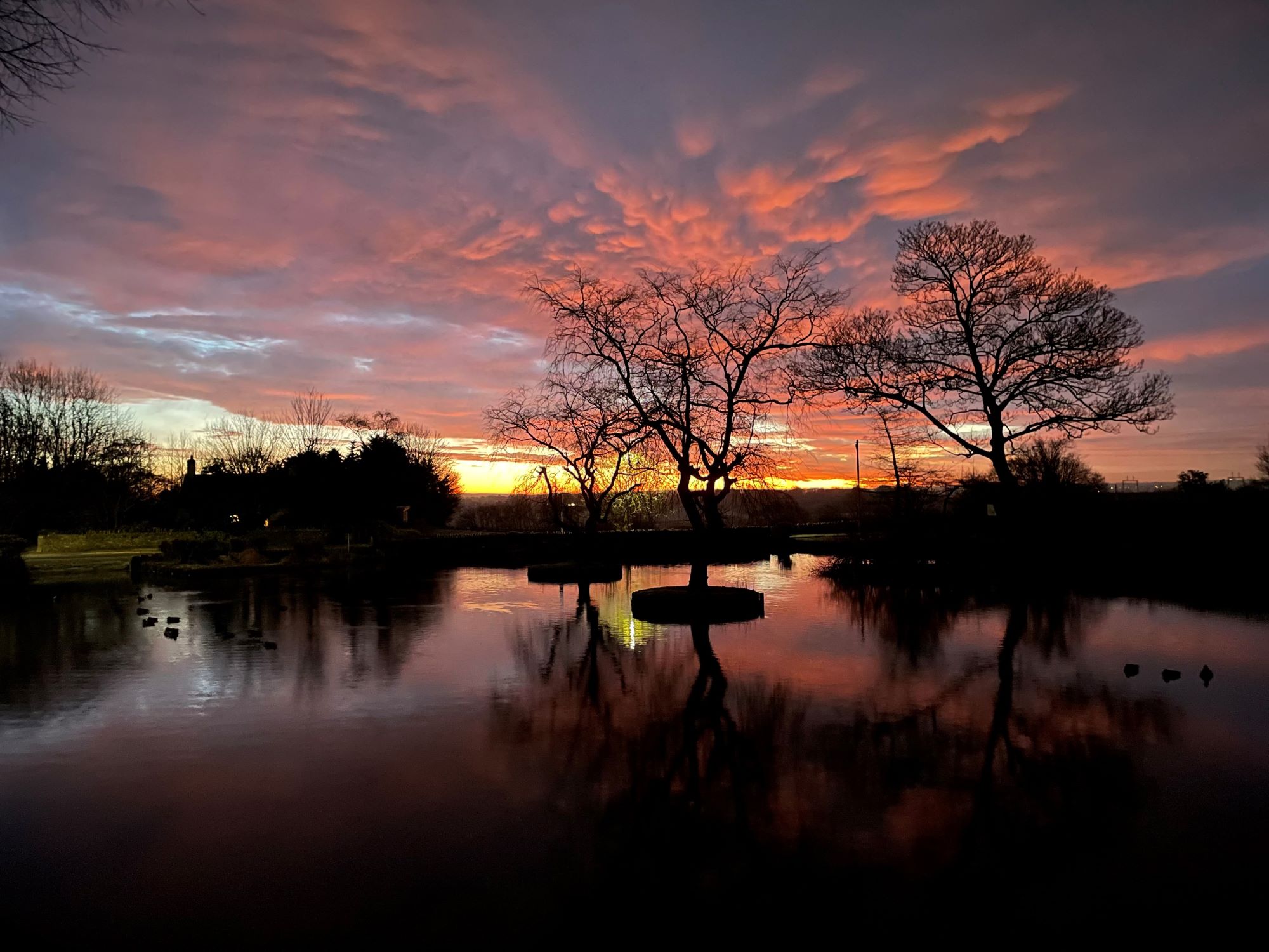 Gill Risdale, Duck Pond at sunrise WINNER Sunset at duck pond