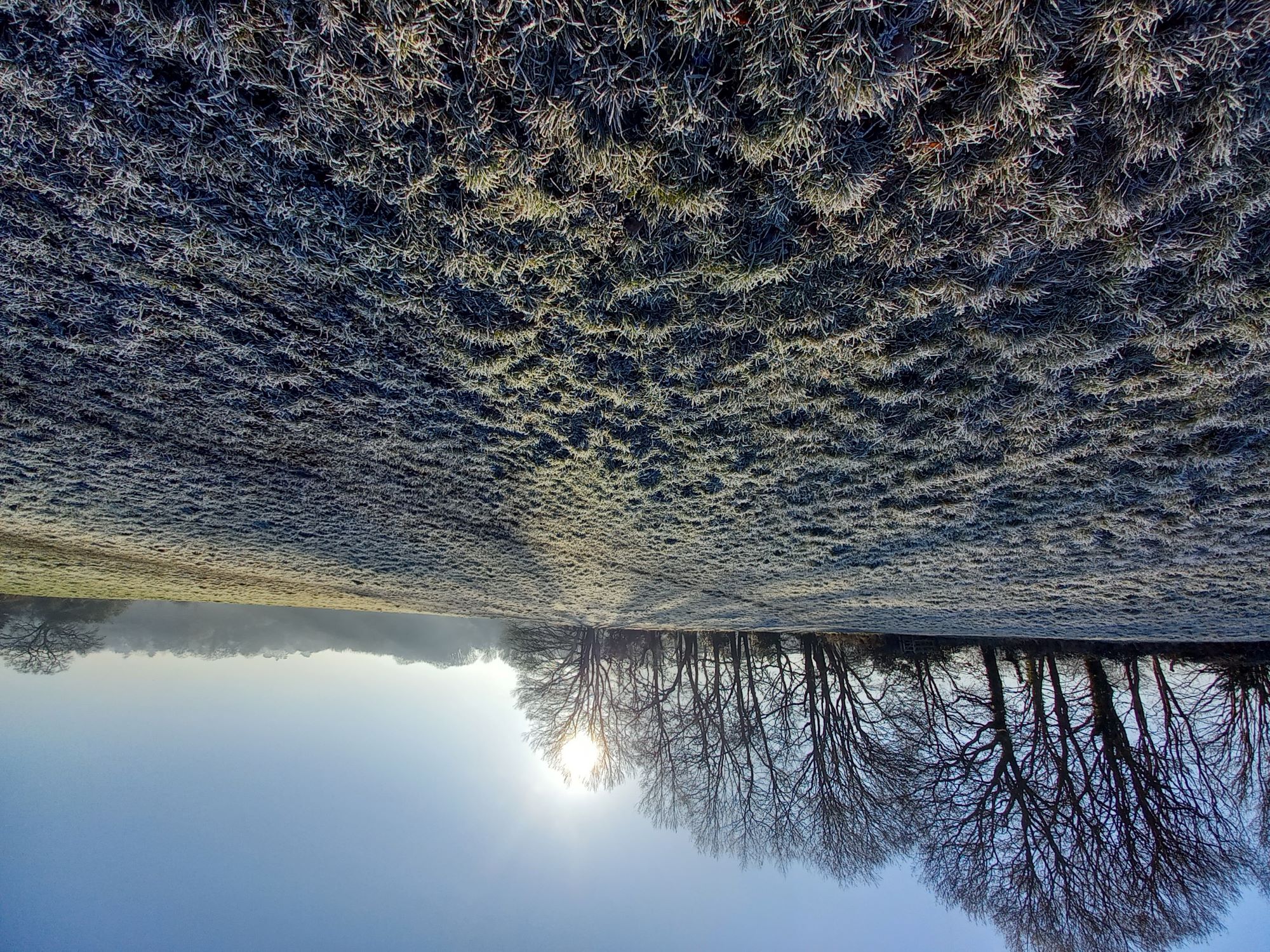 Stephanie Evans, Frenchay Common frosty sunrise over field with trees