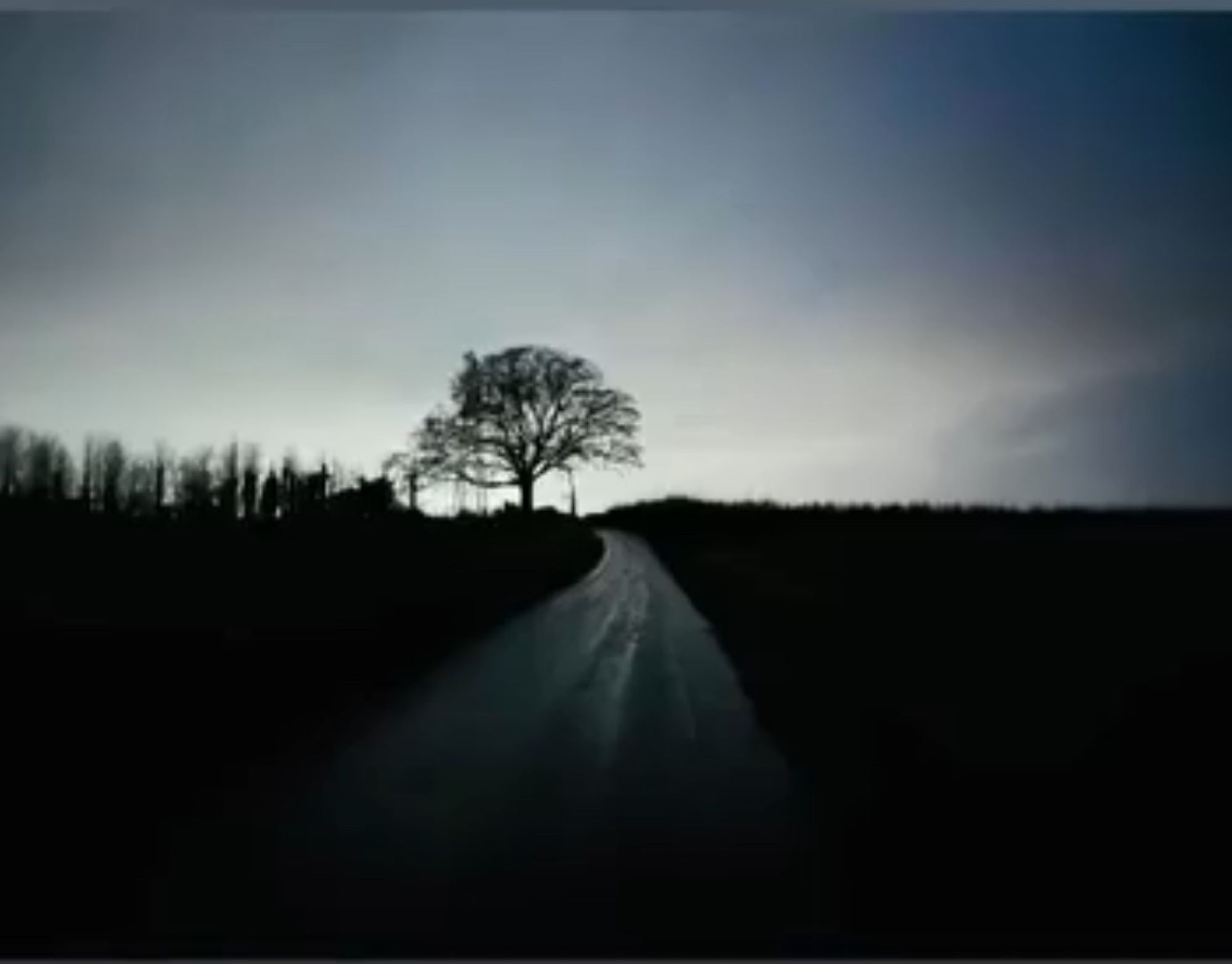 Infy Dobre, Church Lane misty tree in lane winterbourne