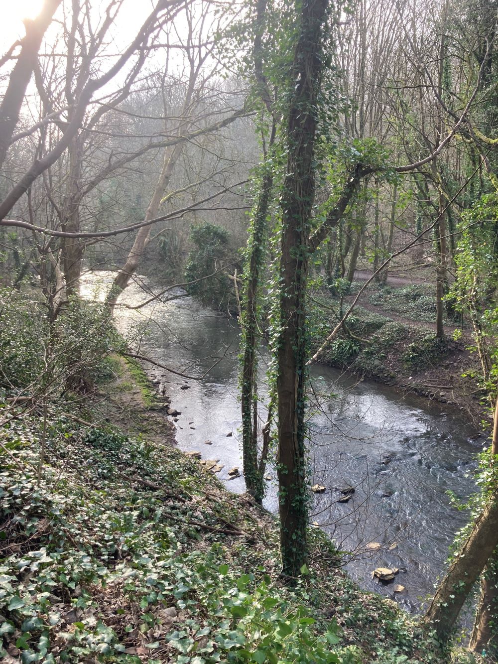 Photo 7 - Liz Windett river frome