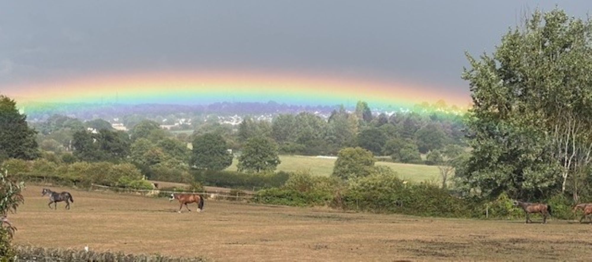 Photo 14 - Sheelagh Mason - WINNER rainbow over fields winterbourne