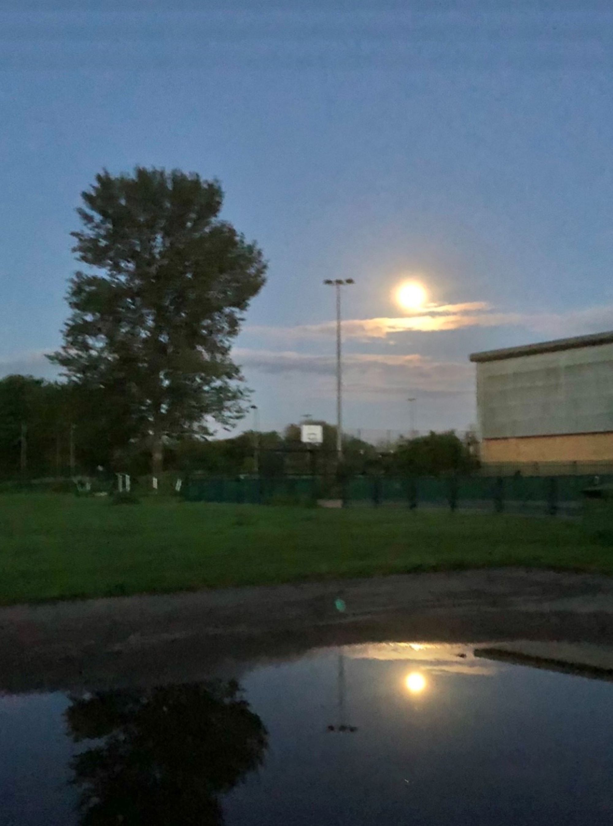 William Alden moon and puddle winterbourne