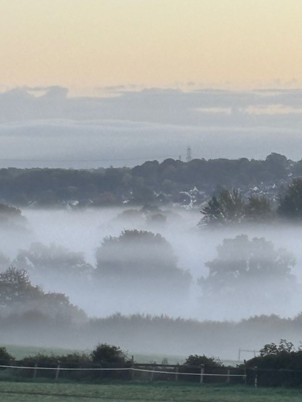Winterbourne misty trees