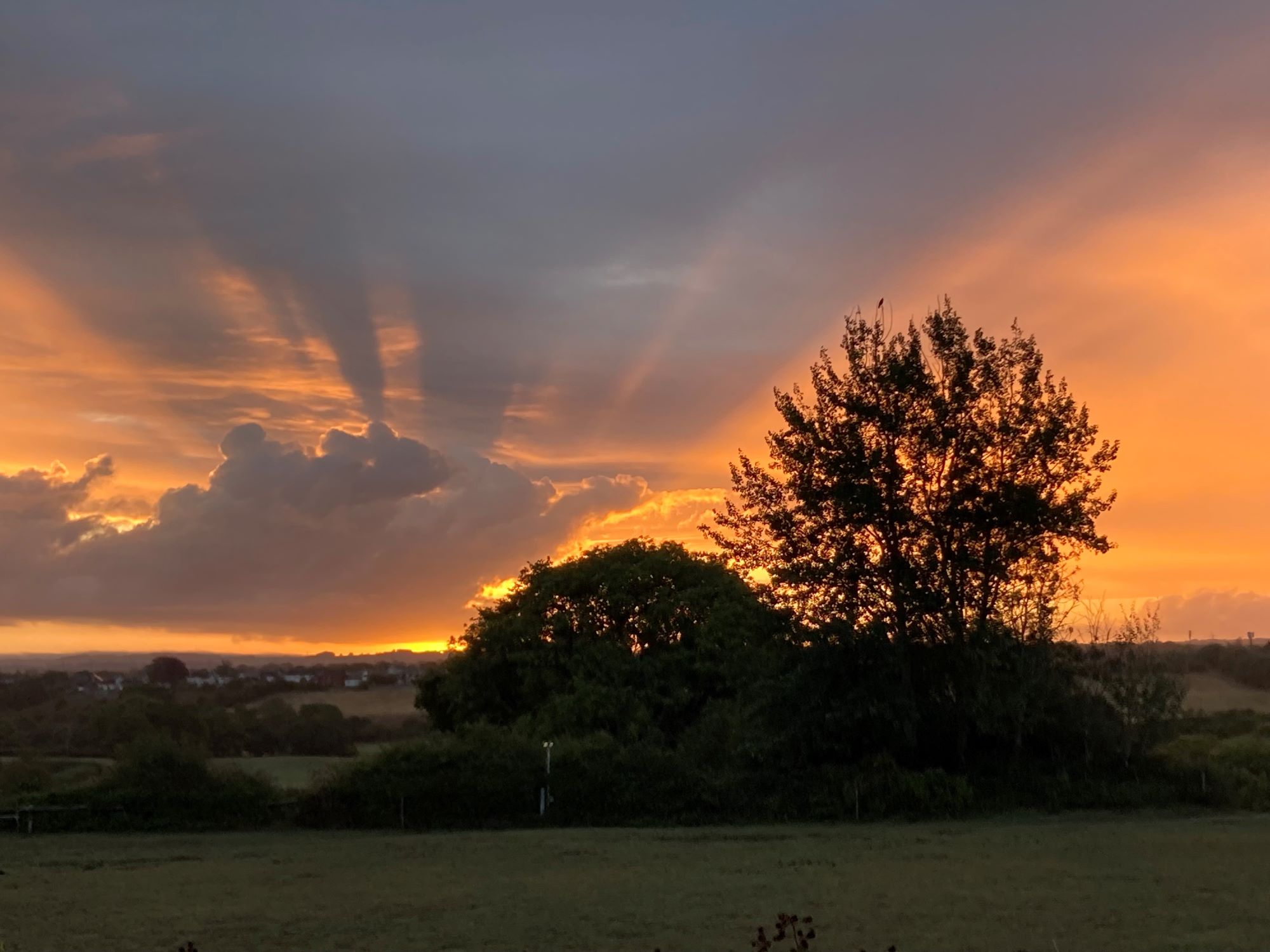 Winterbourne sunrise behind tree