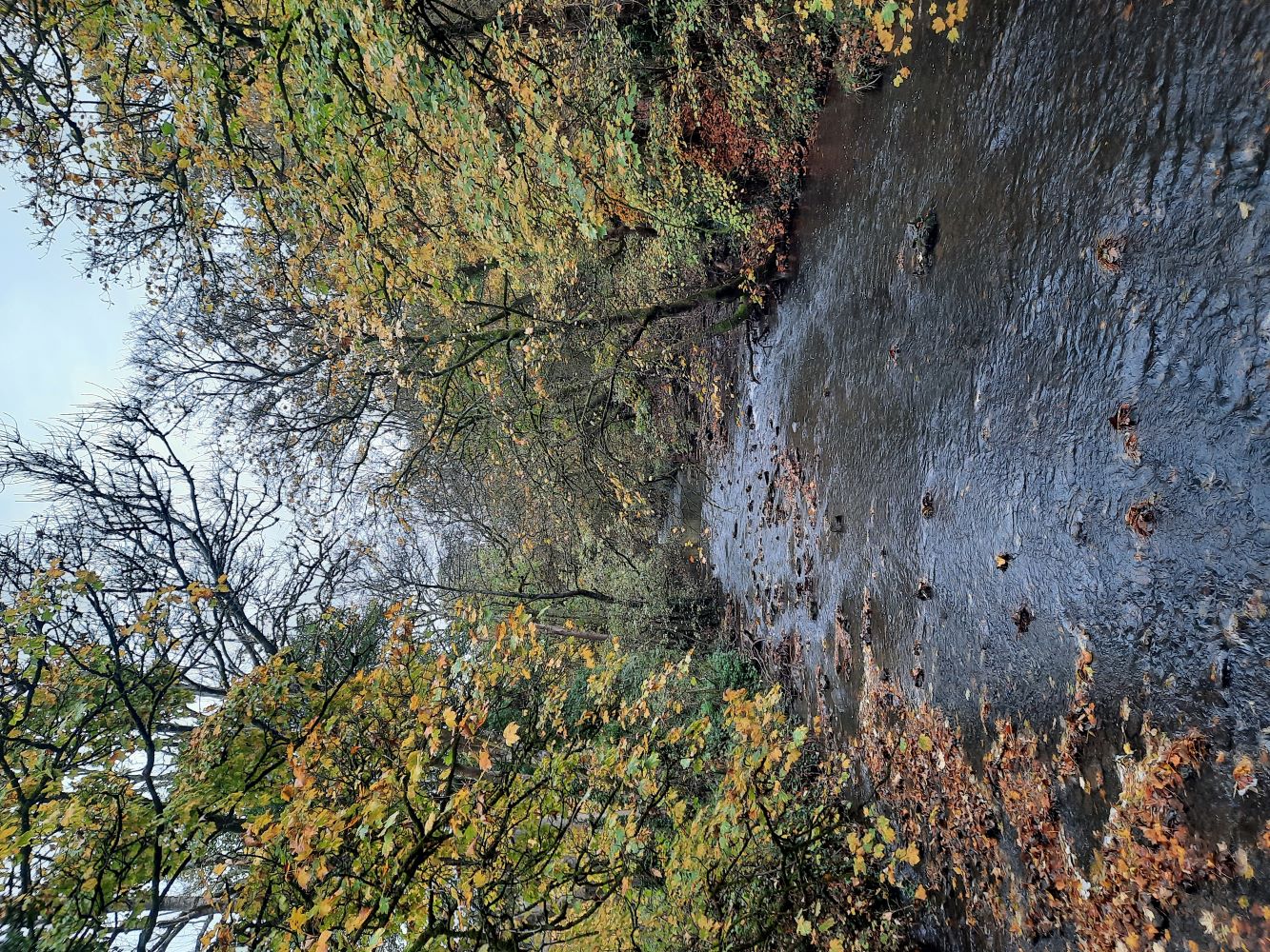 River Frome at the Dingle in Winterbourne