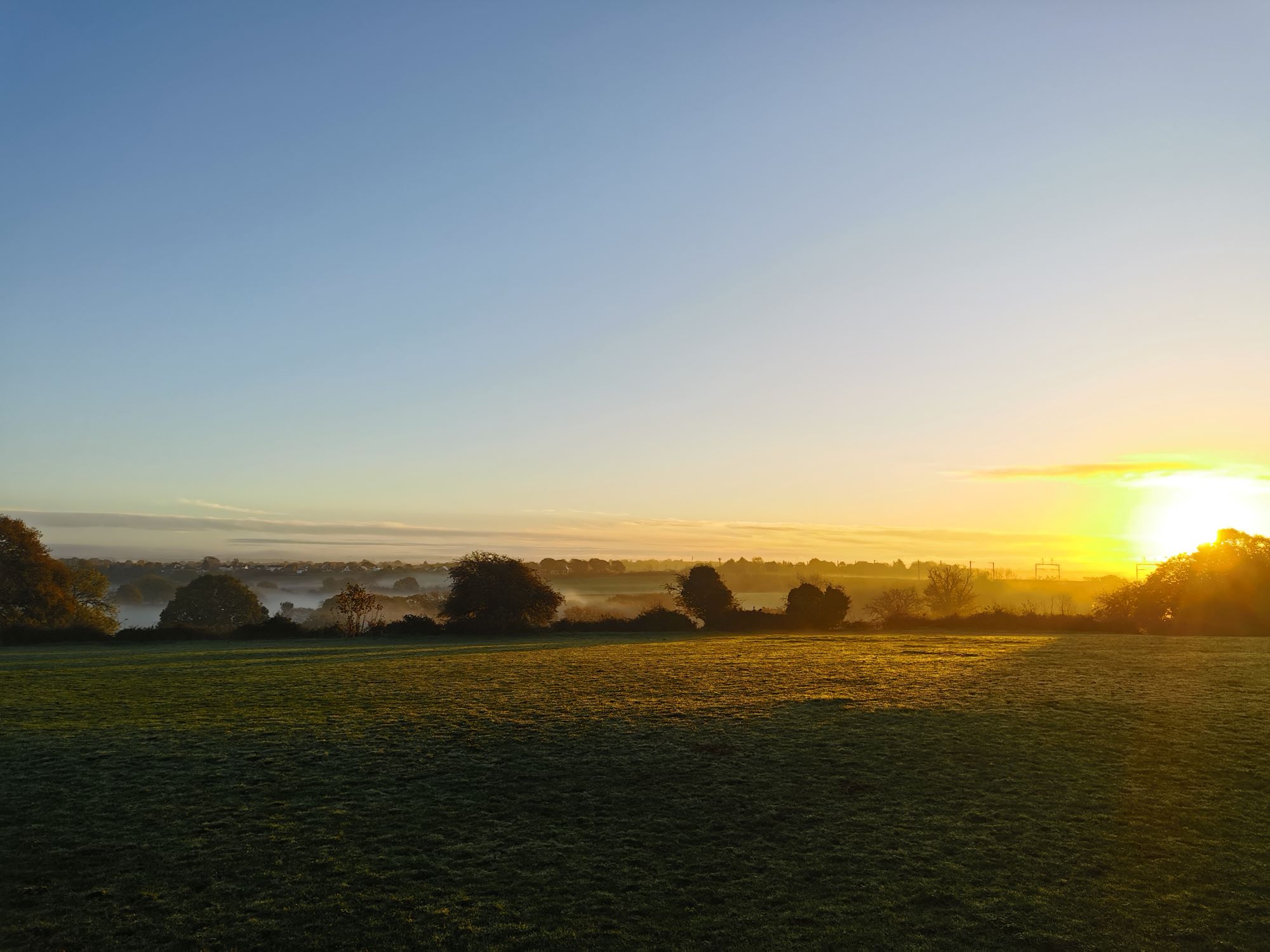 Hicks Common sunrise
