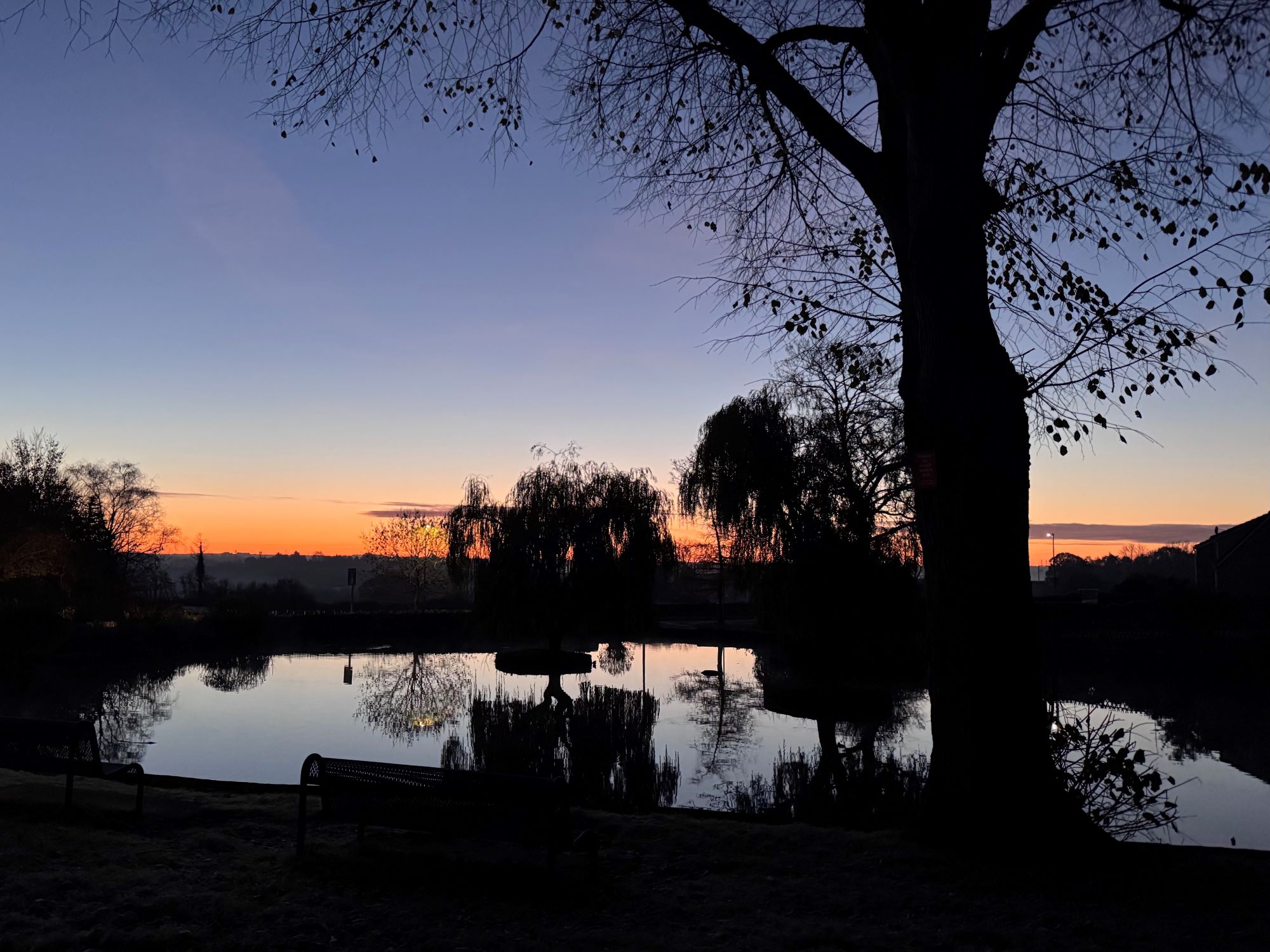 Mary Walpole Winterbourne Duckpond at Sunrise