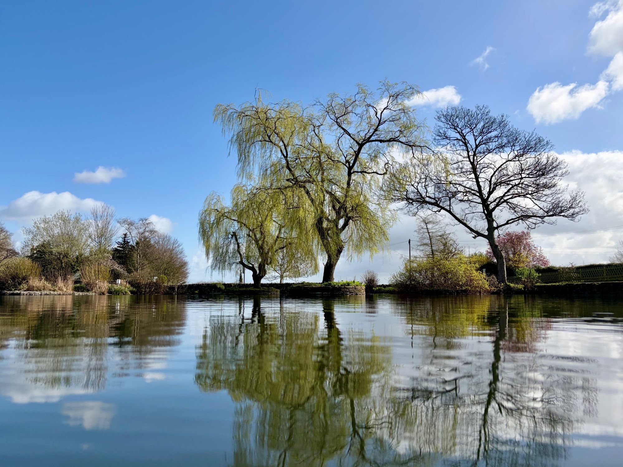 Winterbourne Duck Pond in Spring
