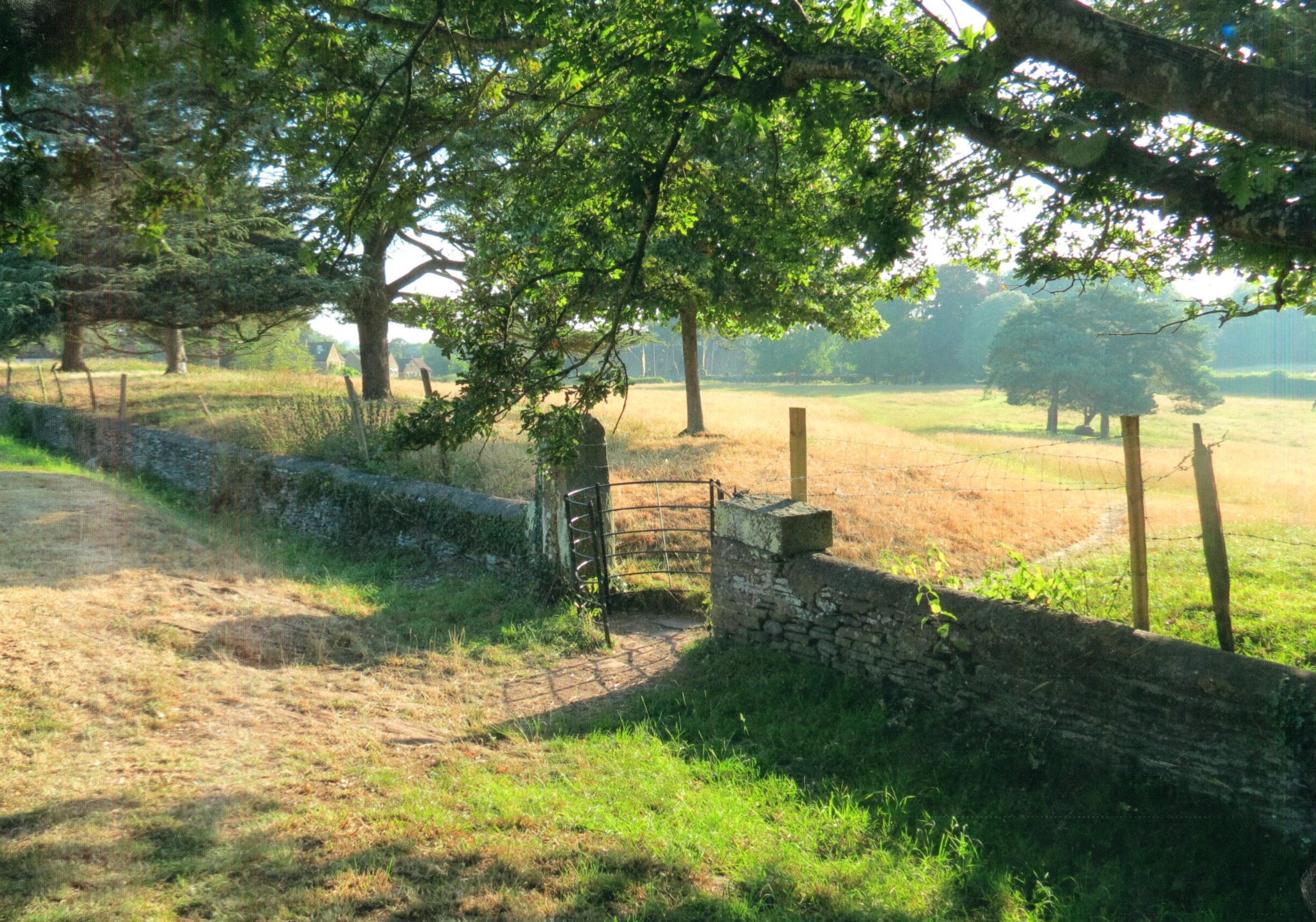 Carol Thorne Tuckett Field