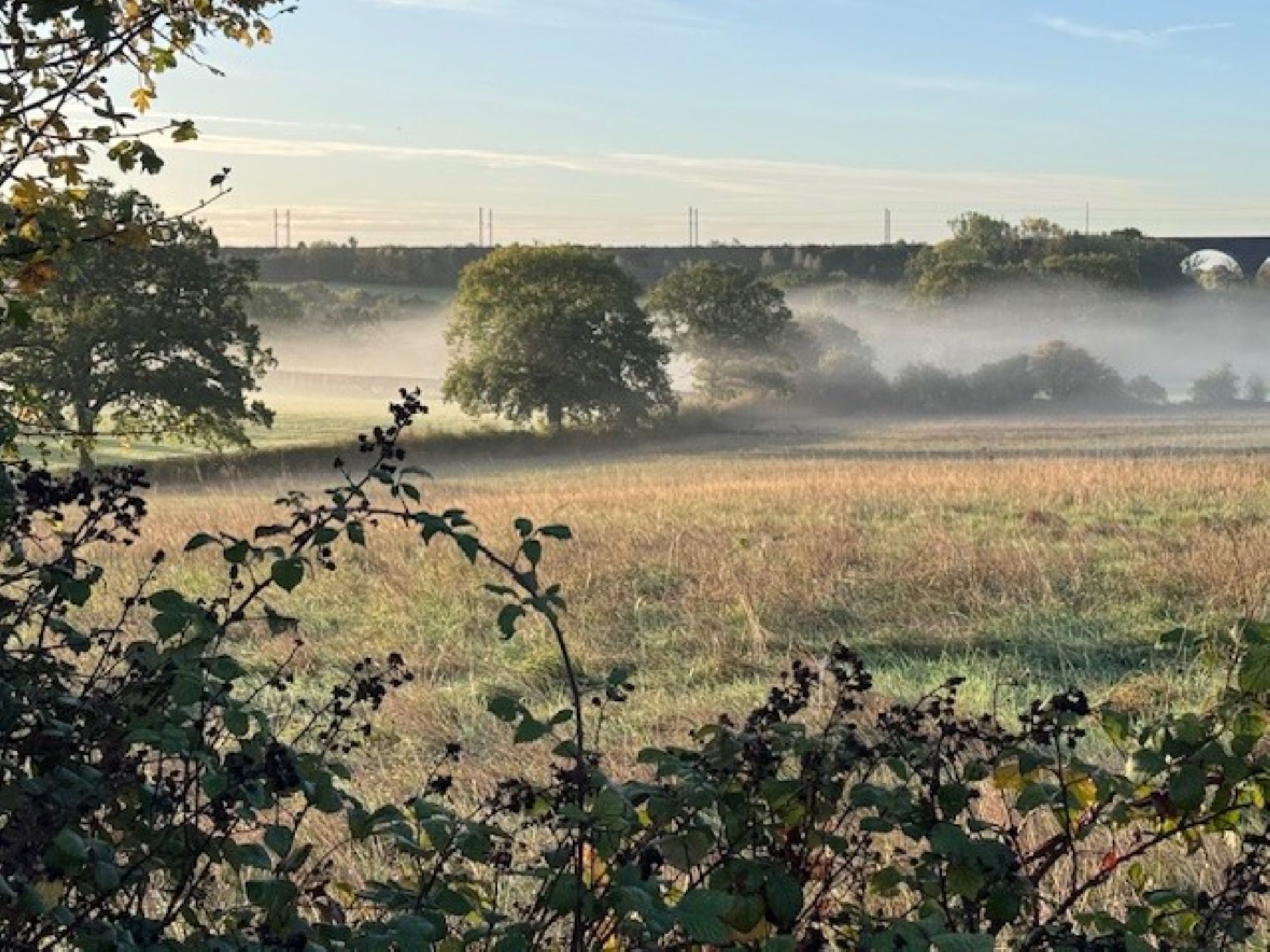 Mary Walpole Misty Viaduct Winterbourne