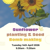 Sunflower Planting and Seed Bomb Making